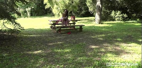  Darcia Lee fucked on the picnic table - itsPOV